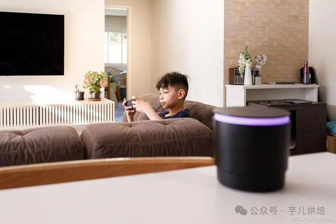 来袭年轻人该如何挑选首台智能设备？OG真人游戏2025国补家电震撼(图3)