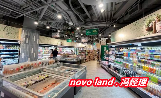 是什么意思新鸿基NOVO LAND是什么档次OG真人平台香港NOVO LAND中文名字(图2)